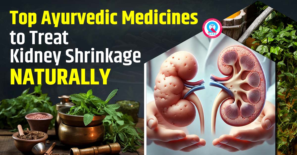 top-ayurvedic-medicines-to-treat-kidney-shrinkage-naturally